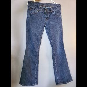 Hudson Flare Leg Jeans